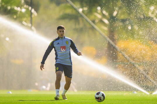 Roony Bardghji of the Swedish national football team