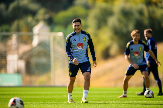 Roony Bardghji of the Swedish national football team