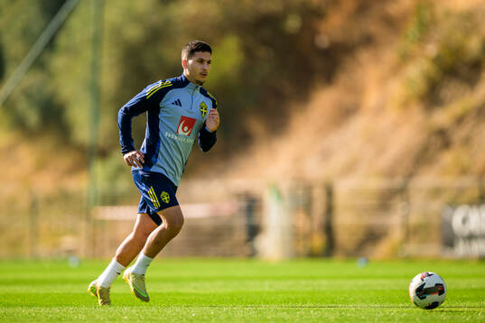Roony Bardghji of the Swedish national football team