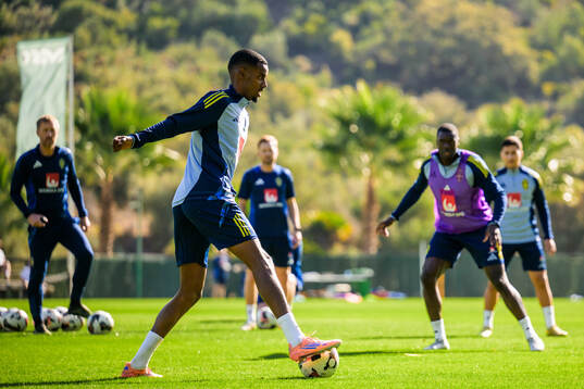 Alexander Isak of the Swedish national football team