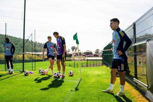 Roony Bardghji of the Swedish national football team