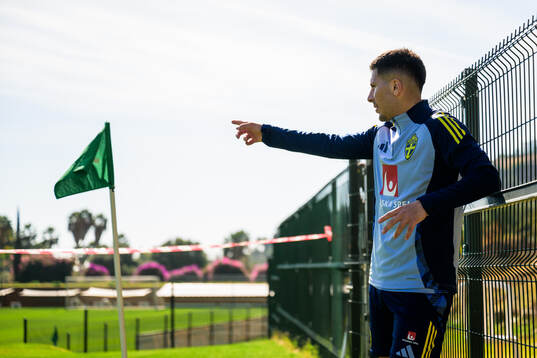 Roony Bardghji of the Swedish national football team