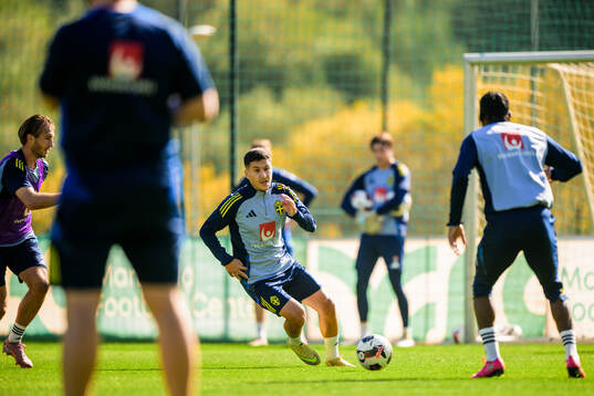 Roony Bardghji of the Swedish national football team