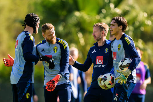 Goalkeepers Noel Törnqvist, Viktor Johansson and Jacob