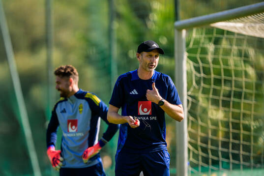 Assistant coach Andreas Georgson of the Swedish national