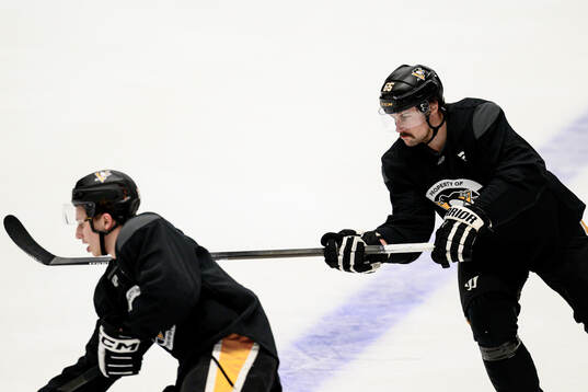 Erik Karlsson