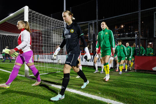 Players of Hammarby