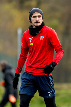 Ervin Gigovic