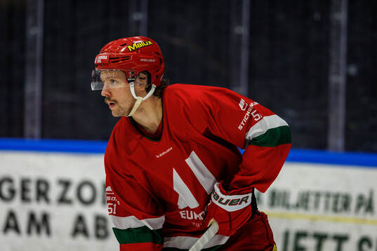 Modos Victor Berglund