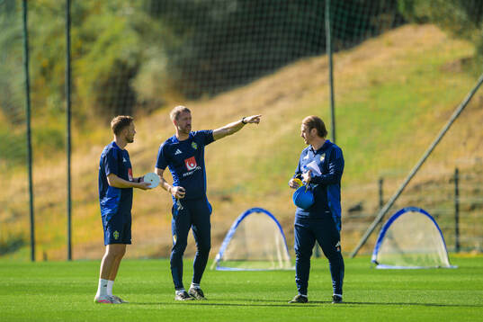 Assistant coach Sebastian Larsson, head coach Graham Potter