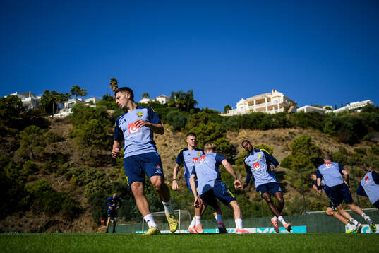Roony Bardghji of the Swedish national football team