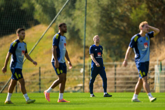 Head coach Graham Potter of the Swedish national football