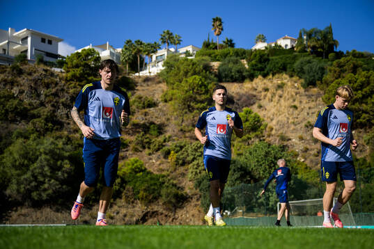 Victor Nilsson Lindelöf, Roony Bardghji and Daniel