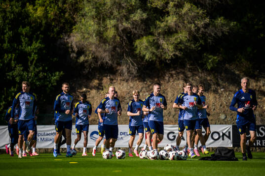 Players of the Swedish national football team