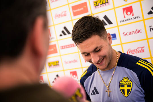 Roony Bardghji of the Swedish national football team