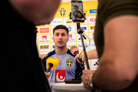 Roony Bardghji of the Swedish national football team