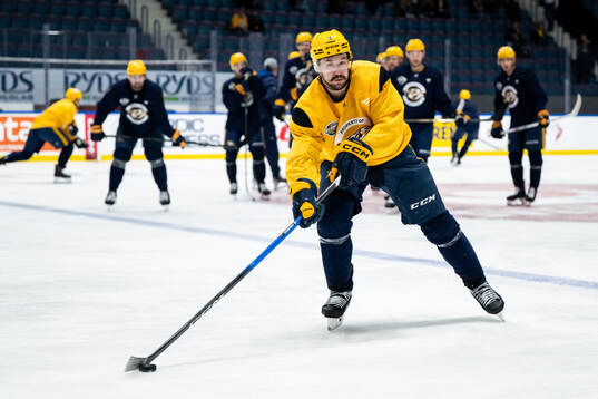 Filip Forsberg of Nashville Predators