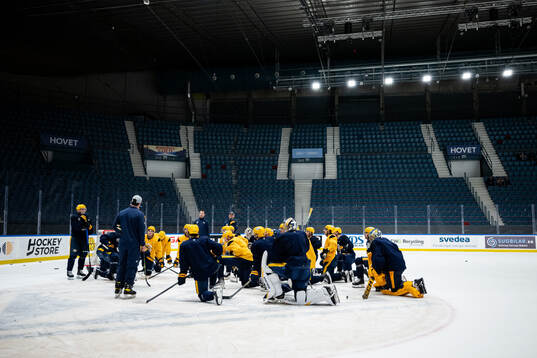Players of Nashville Predators