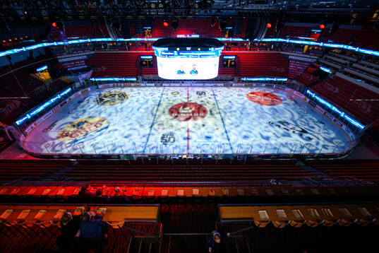 Monitor ERP Arena