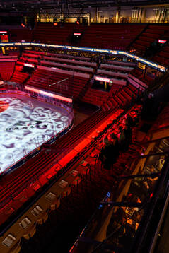 Monitor ERP Arena