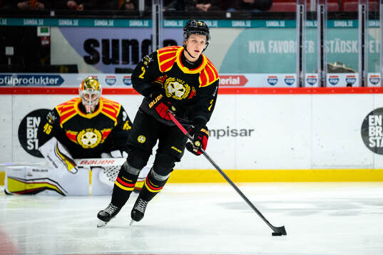 Brynäs Victor Raftheim Hedin