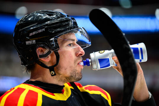 Brynäs Robert Hägg