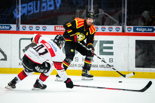 Brynäs Anton Rödin