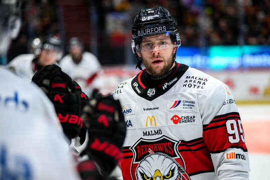 Malmö Redhawks Carl Persson jublar