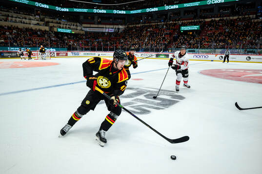 Brynäs Lucas Pettersson