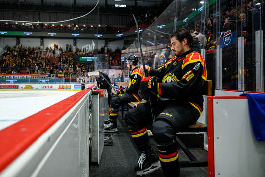 Brynäs Tyler Vesel