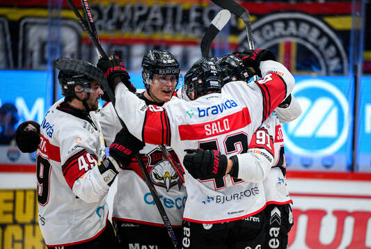Malmö Redhawks spelare jublar