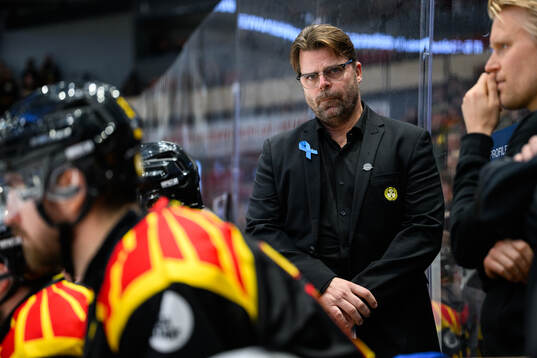 Brynäs assisterande tränare Ove Molin