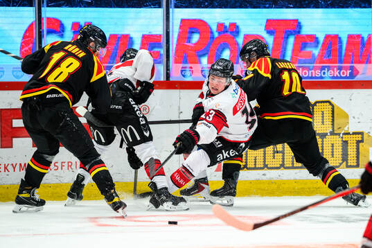 Malmö Redhawks Petter Vesterheim