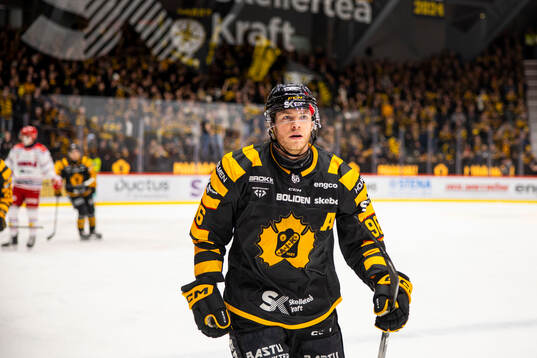 Skellefteås Rickard Hugg jublar