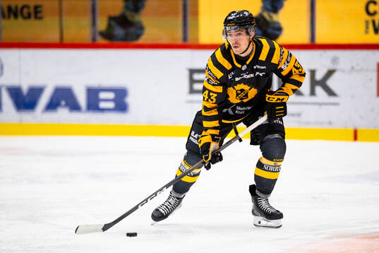 Skellefteås Max Krogdahl