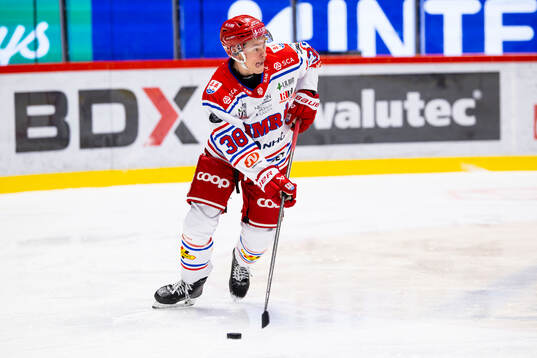 Timrås Albin Sundin