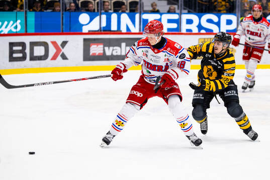 Timrås Eddie Genborg och Skellefteås Jonathan Johnson