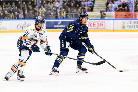HV71s Andreas Borgman