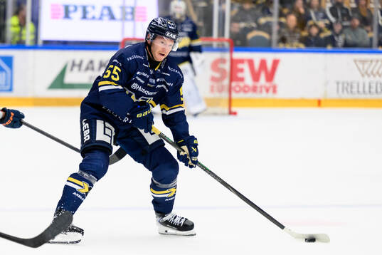 HV71s Andreas Borgman