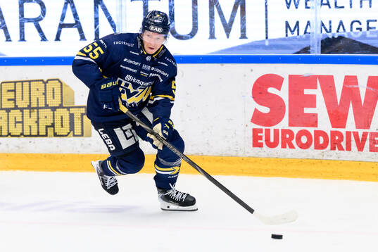 HV71s Andreas Borgman