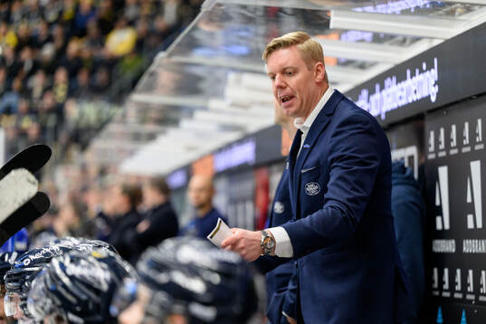HV71s tränare Anton Blomqvist
