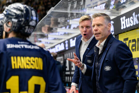 HV71s tränare Anton Blomqvist