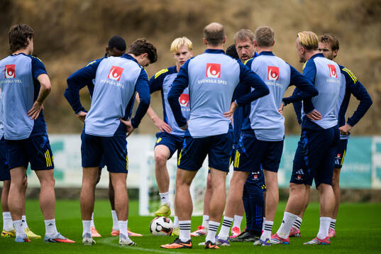 Head coach Graham Potter of the Swedish national football