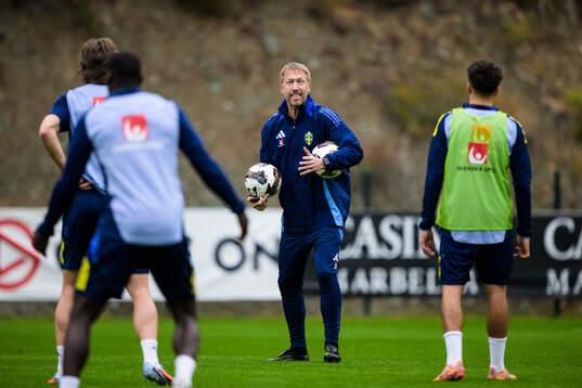 Head coach Graham Potter of the Swedish national football