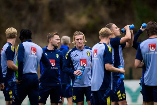 Assistant coach Sebastian Larsson and Emil Forsberg of the