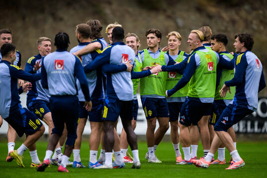 Players of the Swedish national football team