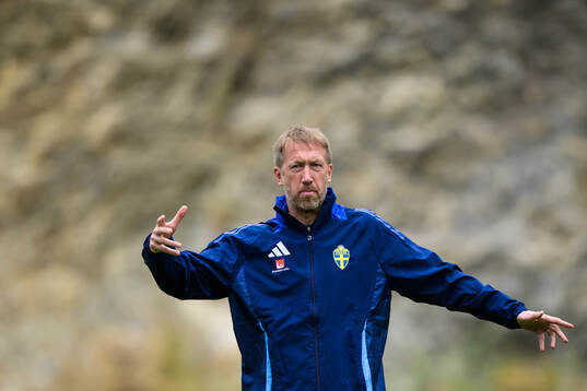 Head coach Graham Potter of the Swedish national football