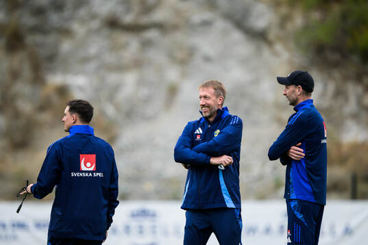 Performance manager Ben Rosen, head coach Graham Potter and