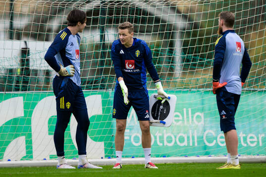 Goalkeepers Jacob Widell Zetterström and Viktor Johansson