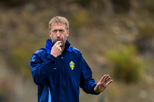 Head coach Graham Potter of the Swedish national football